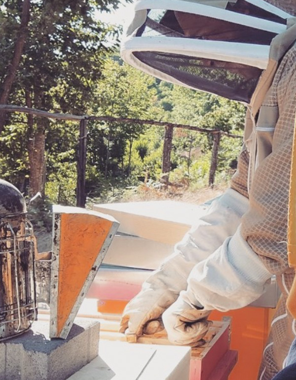 chi siamo arena mieli lavorazione