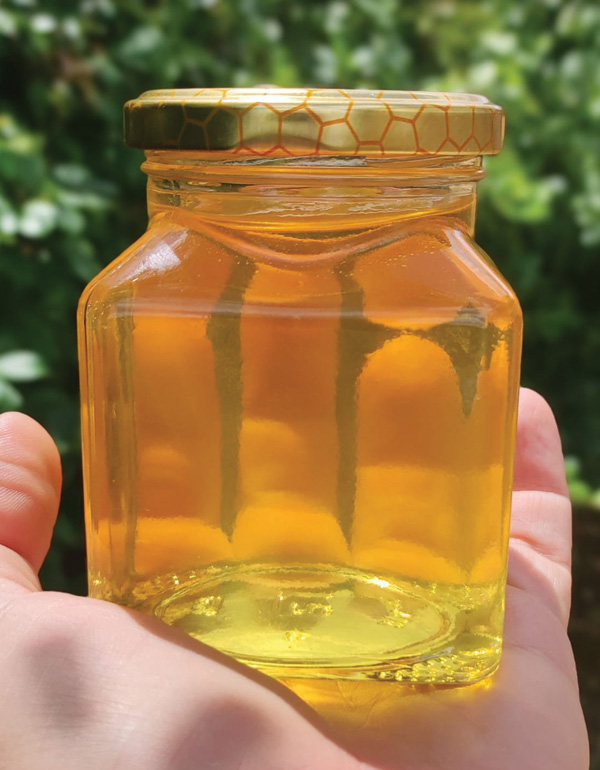 chi siamo arena mieli vasetto